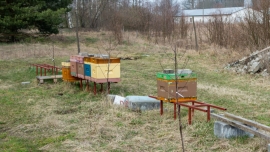 W jedną noc skradziono 71 uli z pasiek pod Żaganiem. To wielka strata dla pszczelarzy (ZDJĘCIA)