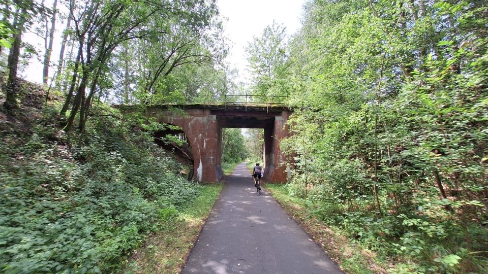 7/12 - Ta trasa rowerowa w Lubuskiem przyciąga rowerzystów. Ma miano legendarnej Drogi 66