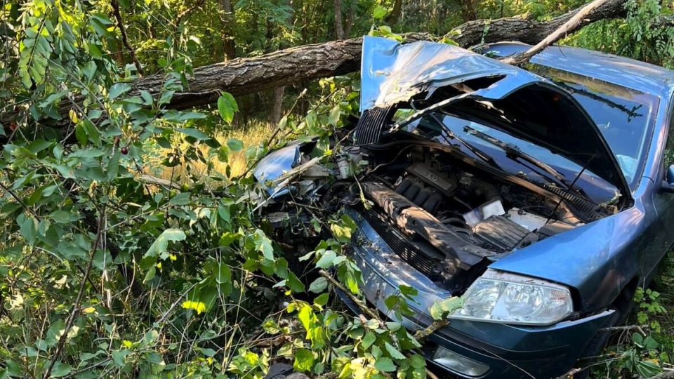 Wypadek w Drezdenku. Pijany kierowca uderzył w drzewo. Wiózł rodzinę (ZDJĘCIA)