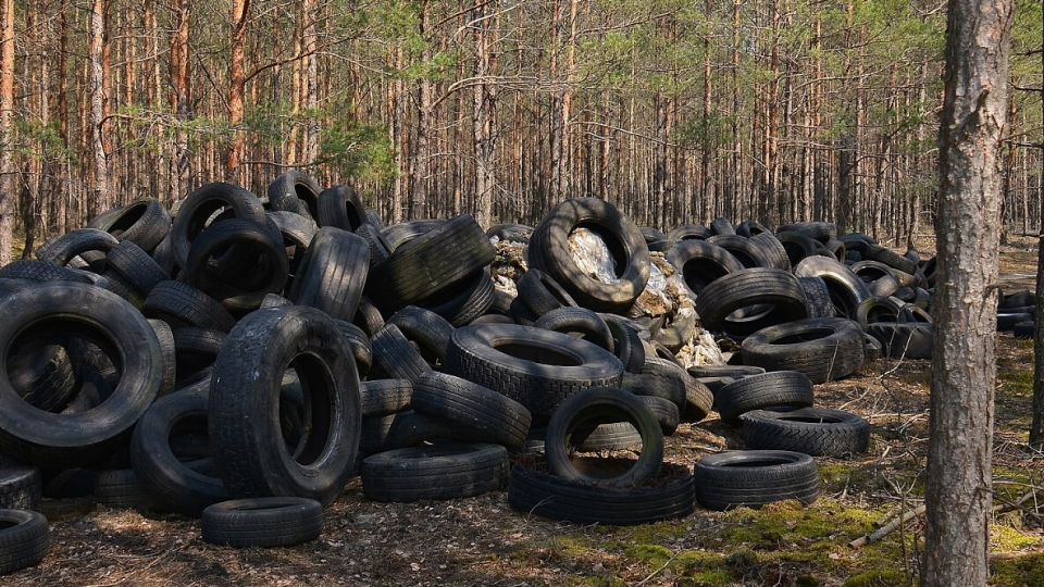 Lubsko: Tysiące opon wyrzuconych w lesie. Kim są sprawcy? (ZDJĘCIA, FILM)