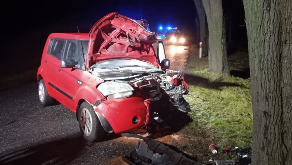 Nocny wypadek koło Świebodzina. Auto uderzyło w drzewo. Jedna osoba ranna (ZDJĘCIA)