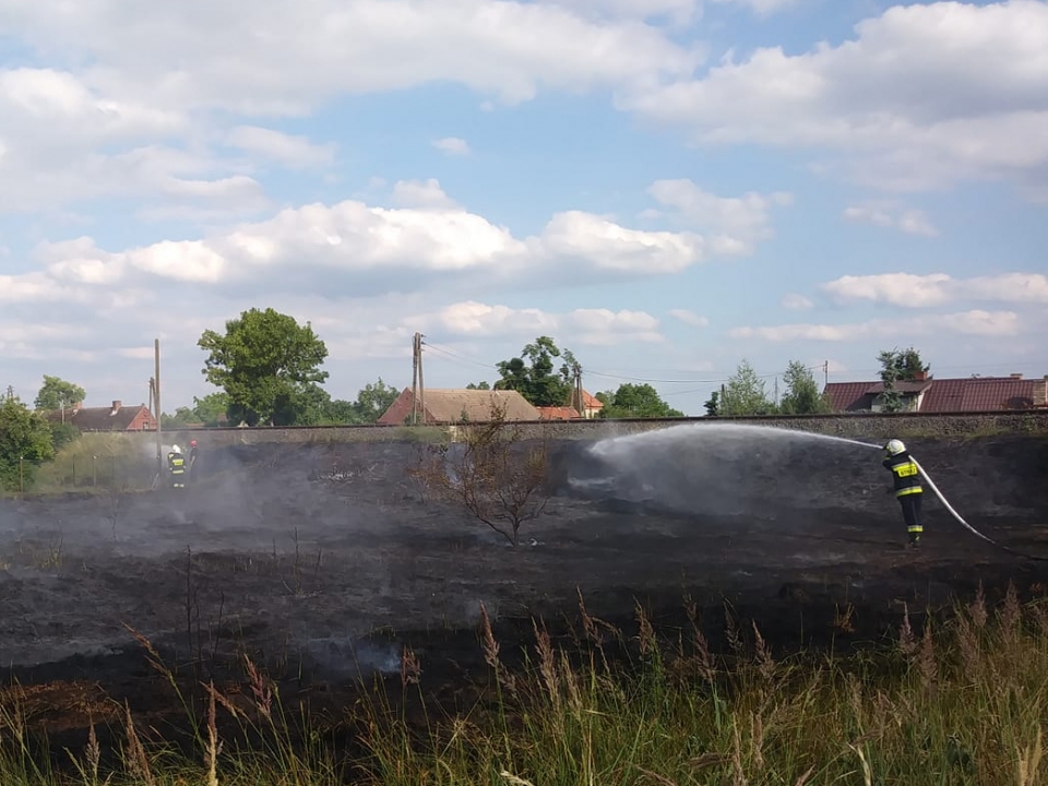 Pożar traw przy linii kolejowej w Motylewie. Ogień niebezpiecznie zbliżał się do zabudowań (ZDJĘCIA)