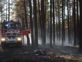 Pożar lasu w Bytnicy (ZDJĘCIA)