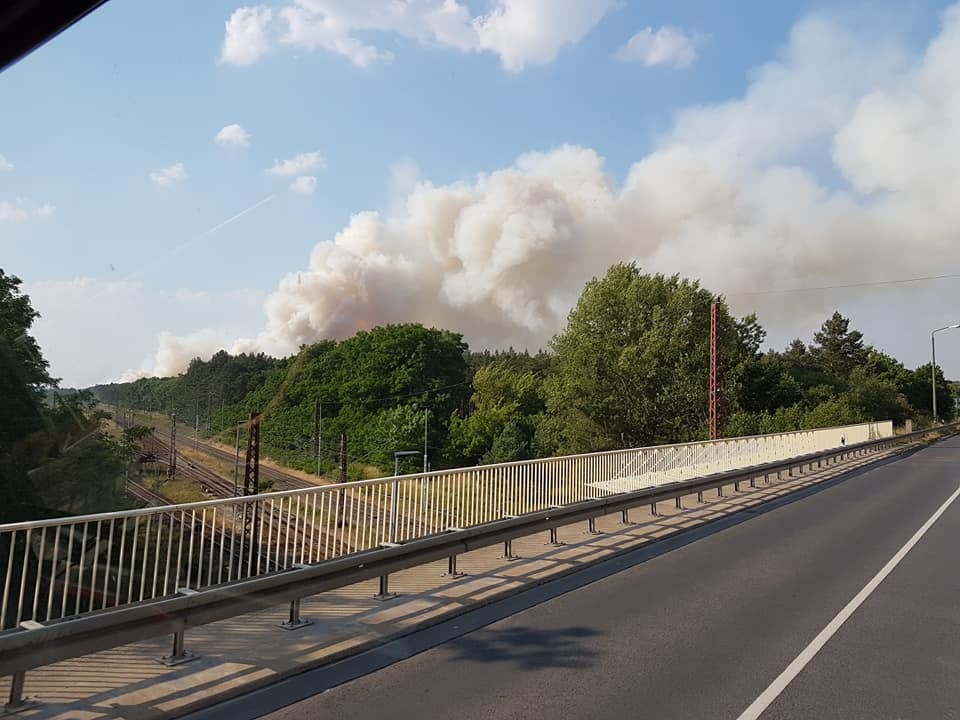 Lubuscy strażacy wyruszyli gasić ogromny pożar lasu w Niemczech (ZDJĘCIA)
