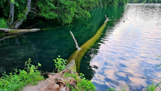 To najpiękniejsze jeziora w Lubuskiem. Zostały docenione przez National Geographic