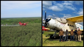 Lasy Państwowe walczą ze szkodnikami. Pomogli piloci z Aeroklubu Ziemi Lubuskiej (ZDJĘCIA)