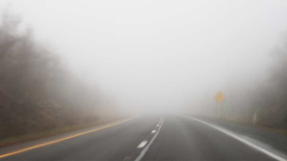 Kierowco bądź ostrożny w czasie mgły
