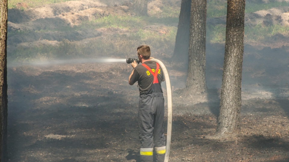 Pożar lasu koło Nowogrodu Bobrzańskiego. Strażacy znów wezwani do akcji