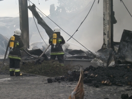 Ogromny pożar pieczarkarni w Lipinkach (ZDJĘCIA i FILM)