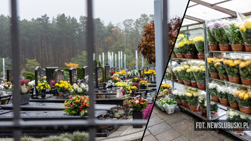 Zamknięte cmentarze. Sprzedawcy kwiatów oburzeni decyzją rządu! 