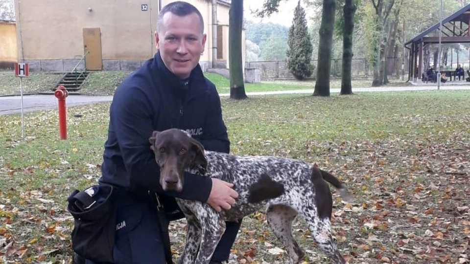 Policja w Zielonej Górze ma nowego psa. "Lubi pracować nosem" (ZDJĘCIA)
