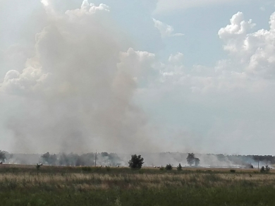 Duży pożar pola w Walewicach koło Torzymia. Trwa akcja gaśnicza (ZDJĘCIA)