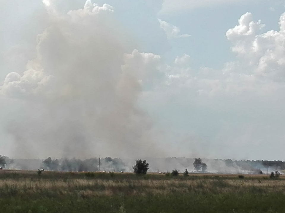 Duży pożar pola w Walewicach koło Torzymia. Trwa akcja gaśnicza
