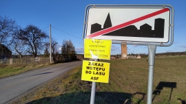ASF w Lubuskiem: Padłe dziki znalezione w Kargowej? "Podaliśmy nieprawdziwe dane"
