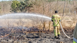 Pożar w Buchałowie koło Zielonej Góry. Płonęły trawy i krzaki