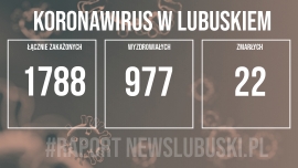 Koronawirus w Lubuskiem. Odnotowano 164 nowe przypadki zakażenia!