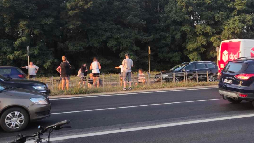 1/3 - Wypadek w Zielonej Górze. Potrącenie nastolatki na pasach