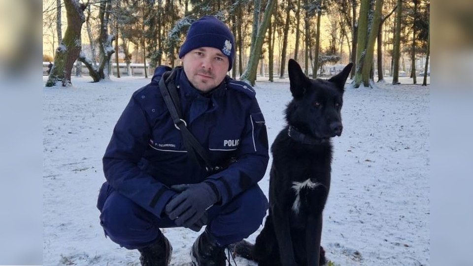 Policja w Zielonej Górze ma nowego psa. Dex patroluje już miasto (ZDJĘCIA)