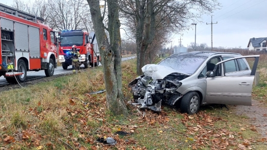 Wypadek na krajowej &quot;31&quot;. Osobówka rozbiła się o drzewo (ZDJĘCIA)