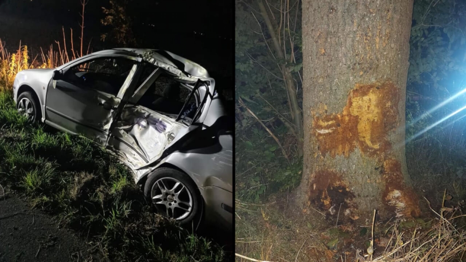 Auto uderzyło w drzewo pod Gorzowem. Poszkodowani uciekli w pole (ZDJĘCIA)