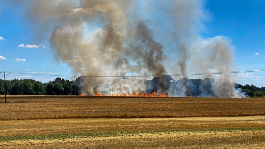 Pożar zboża na pniu oraz ścierniska pod Krosnem Odrzańskim. Spłonęło 10 hektarów!