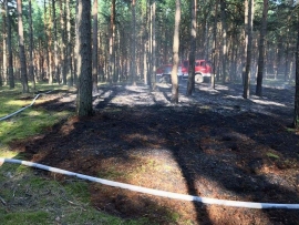 Pożar lasu w okolicy Ciemnic