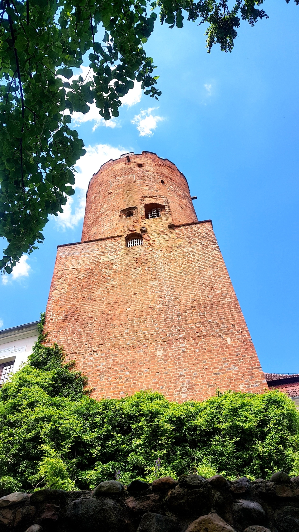 6/12 - To perełka Ziemi Lubuskiej. Jest tutaj najczystsze jezioro w regionie