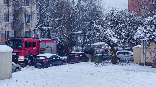 Konar drzewa złamał się pod naporem śniegu i spadł na auto w Zielonej Górze