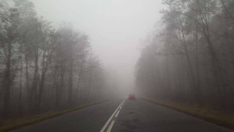 Pogoda Lubuskie. Uwaga kierowcy! Gęste mgły w nocy i nad ranem