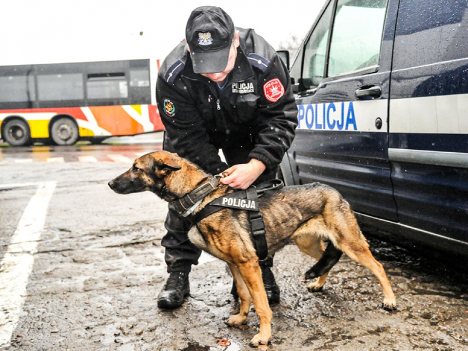 DJANGO i LILA – policyjne psy szkoliły się w służbie (ZDJĘCIA i FILM)