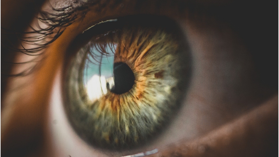 Czy luteina może korzystnie wpływać na wzrok?