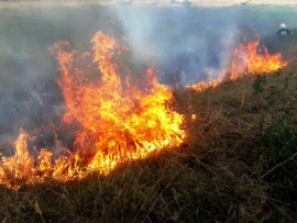 Pożar traw w Kłopocie. Łąka była sucha jak wiór. Po kilku minutach ogień objął 1,5 hektara (ZDJĘCIA)