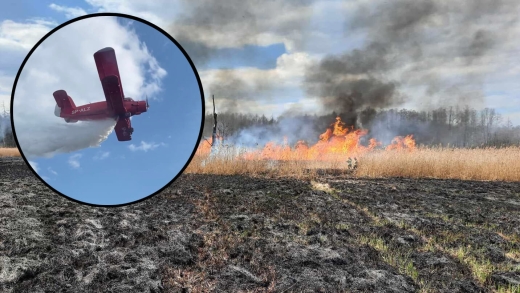 Pożar koło Lubska. Płonęły trawy i trzciny. Wezwano samolot gaśniczy (ZDJĘCIA)