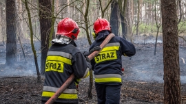 Duże zagrożenie pożarowe w Lubuskiem. Leśna ściółka dramatycznie sucha
