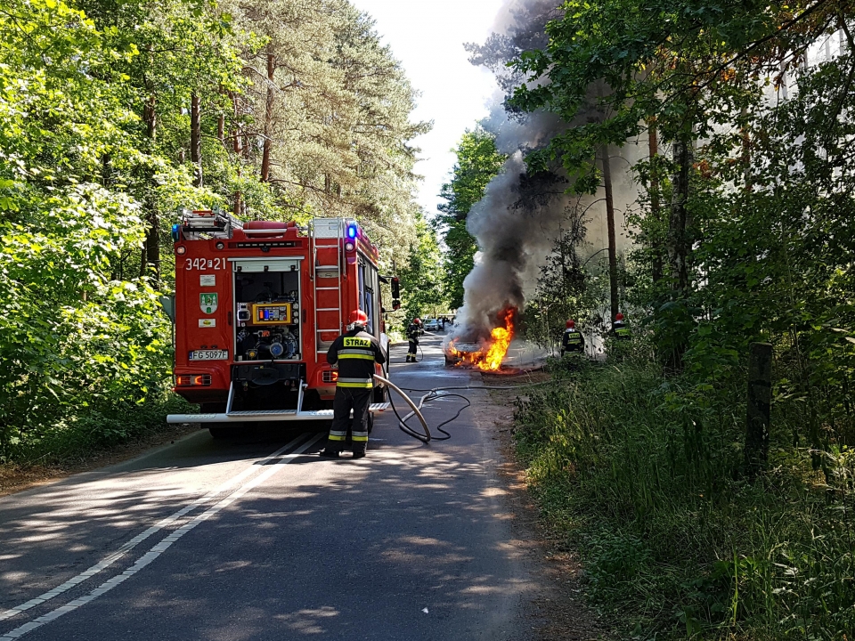 Pożar samochodu osobowego w Zielonej Górze. Ogień rozprzestrzenił się do lasu (ZDJĘCIA)