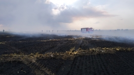 Strażacy walczą z pożarami podczas żniw! Płoną hektary upraw!