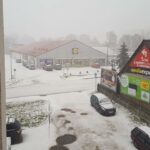 burza4