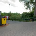 web_slaskie-drzewo-14