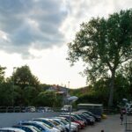 web_slaskie-drzewo-18