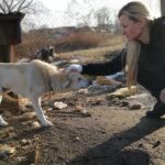 OTOZ Animals Zielona Góra