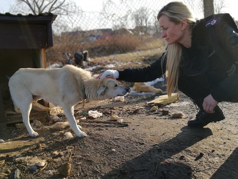 OTOZ Animals Zielona Góra