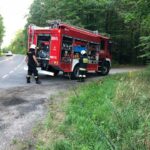 WypadekKlodawaDrzewo03