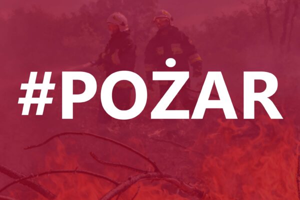 Redakcja/zdjęcie poglądowe