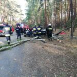 WypadekBytnicaSmierc16
