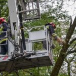 Redakcja/zdjęcie poglądowe