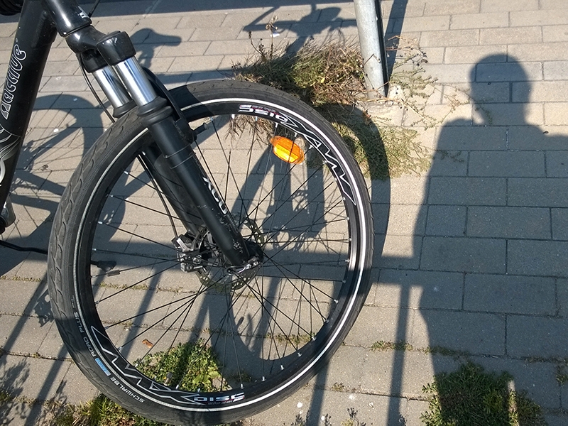 Redakcja