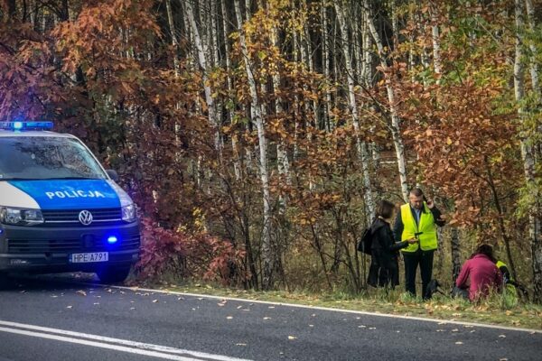 Lubuska Policja