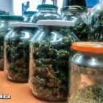 marihuana-1