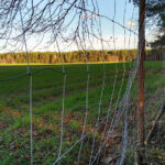 40_kilometrowy_plot_4