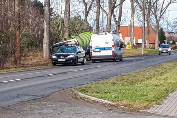 Fot. ALERT Zielona Góra